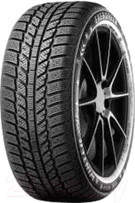 Зимняя шина Evergreen EW62 165/65R14 79T от компании Бесплатная доставка по Беларуси - фото 1