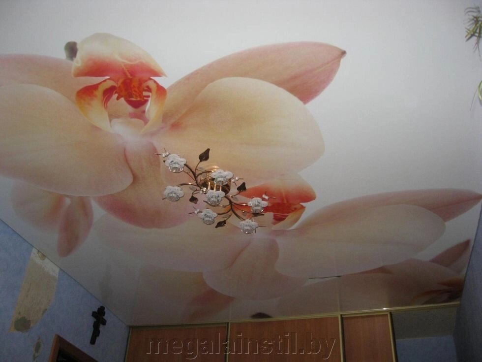 Натяжные потолки с фотопечатью 001 от компании ЧТПУП «МегаЛайнСтиль» - фото 1