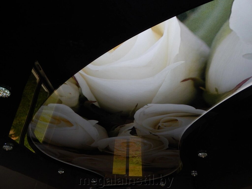 Натяжные потолки с фотопечатью 012 от компании ЧТПУП «МегаЛайнСтиль» - фото 1