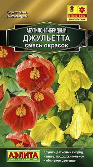 Абутилон гибридный Джульетта, смесь окрасок 15шт от компании Садовник - все для сада и огорода - фото 1