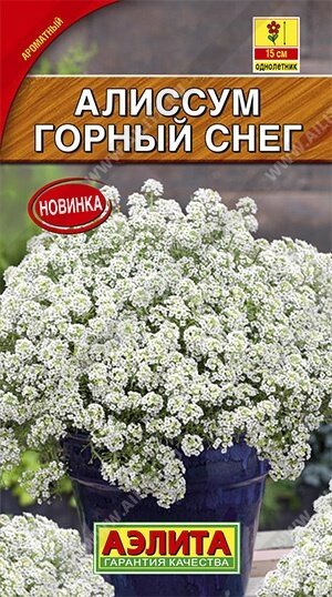 Алиссум Горный снег 0.05г. от компании Садовник - все для сада и огорода - фото 1