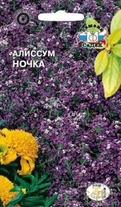 Алиссум Ночка (морской) 0,2 СДК