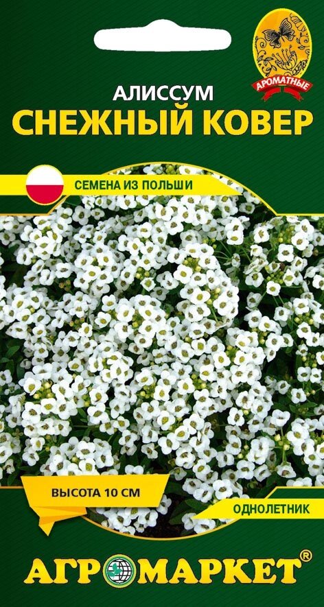 Алиссум Снежный Ковер 0.5 г. Польша от компании Садовник - все для сада и огорода - фото 1