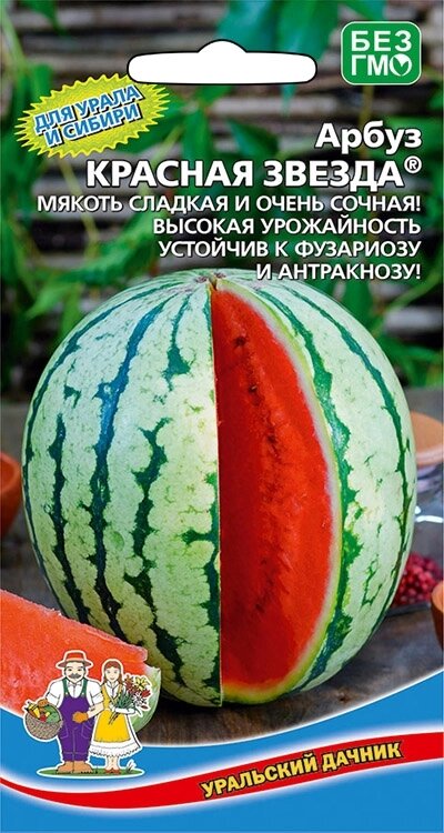 Арбуз КРАСНАЯ ЗВЕЗДА (УД) 10шт от компании Садовник - все для сада и огорода - фото 1