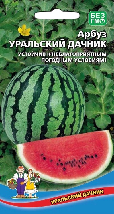 Арбуз УРАЛЬСКИЙ ДАЧНИК  10шт (УД) от компании Садовник - все для сада и огорода - фото 1