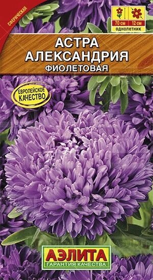 Астра Александрия фиолетовая 0,1г от компании Садовник - все для сада и огорода - фото 1