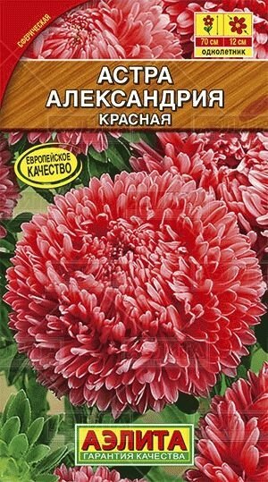 Астра Александрия красная 0,1г от компании Садовник - все для сада и огорода - фото 1