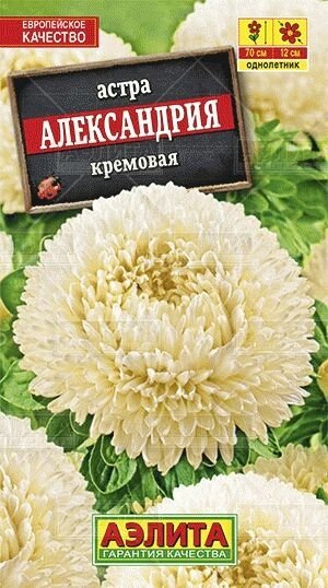 Астра Александрия кремовая 0,1г от компании Садовник - все для сада и огорода - фото 1