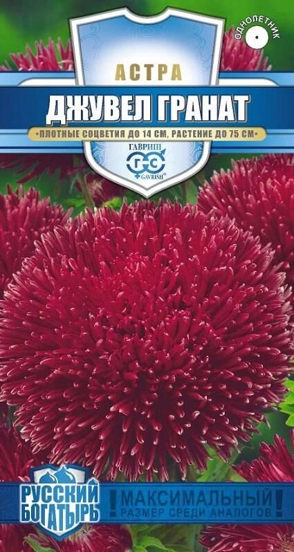 Астра Джувел Гранат 0,1 г (Г) от компании Садовник - все для сада и огорода - фото 1