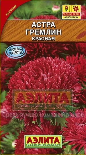 Астра Гремлин красная 0,2г. от компании Садовник - все для сада и огорода - фото 1