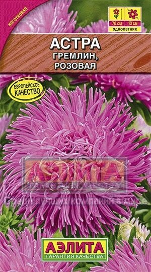 Астра Гремлин розовая 0,2г от компании Садовник - все для сада и огорода - фото 1