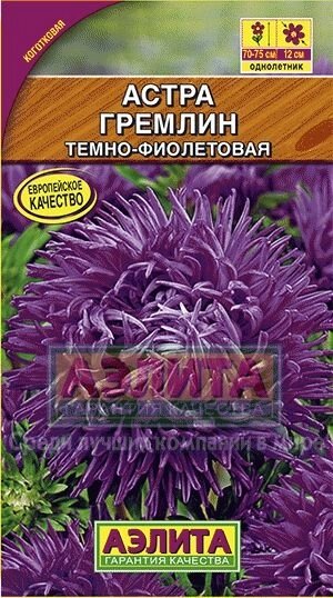 Астра Гремлин темно-фиолетовая 0,2г. от компании Садовник - все для сада и огорода - фото 1