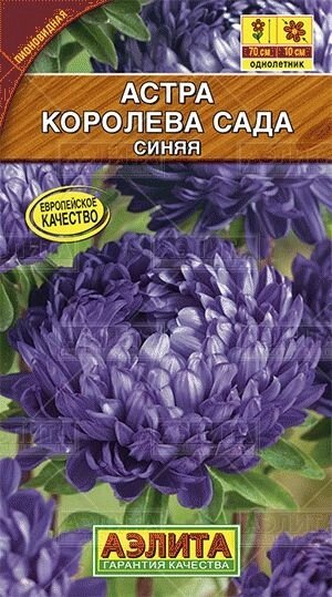 Астра Королева сада синяя 0,2г от компании Садовник - все для сада и огорода - фото 1