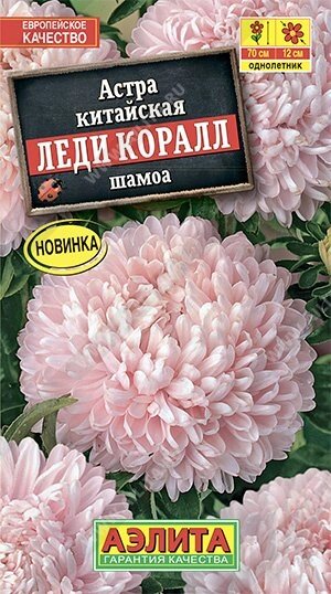 Астра Леди Коралл шамоа 25шт. (А) от компании Садовник - все для сада и огорода - фото 1