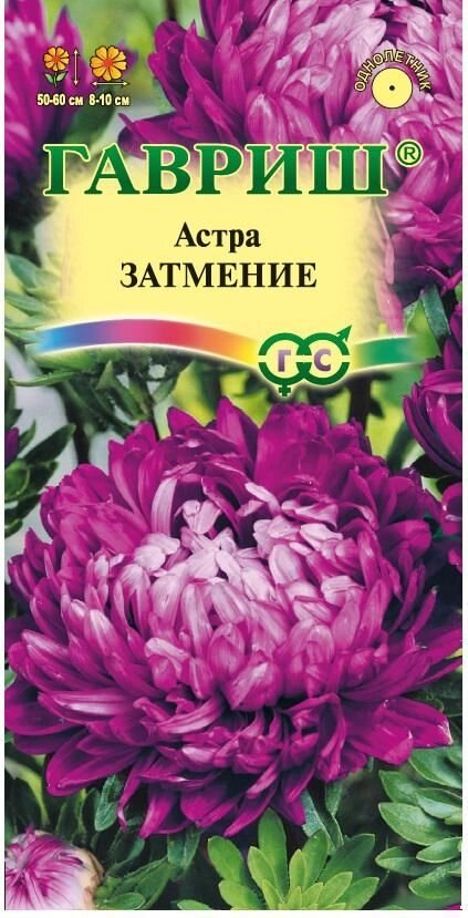 Астра Затмение 0,3 г пионовидная фиолет (Г) от компании Садовник - все для сада и огорода - фото 1