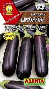 Баклажан Царская Икра (А) НОВИНКА! 0,1гр