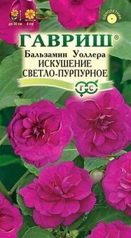 Бальзамин Искушение светло-пурпурное 4 шт от компании Садовник - все для сада и огорода. Семена почтой по всей РБ - фото 1