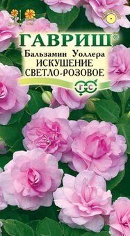 Бальзамин Искушение светло-розовое 5шт от компании Садовник - все для сада и огорода - фото 1