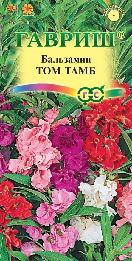 Бальзамин карликовый Том Тамб, смесь, 0,1г от компании Садовник - все для сада и огорода - фото 1