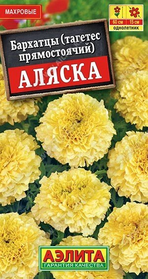 Бархатцы Аляска прямостоячие 0.1г. от компании Садовник - все для сада и огорода - фото 1