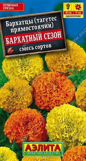 Бархатцы Бархатный сезон прямостоячие, смесь окрасок 0,1гр от компании Садовник - все для сада и огорода. Семена почтой по всей РБ - фото 1