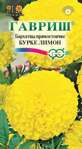 Бархатцы Бурке Лимон (Тагетес) 0,3 г (Г) от компании Садовник - все для сада и огорода - фото 1