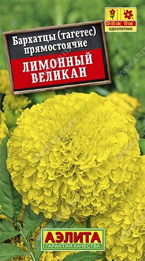 Бархатцы Лимонный великан прямостоячие 0,1гр от компании Садовник - все для сада и огорода - фото 1