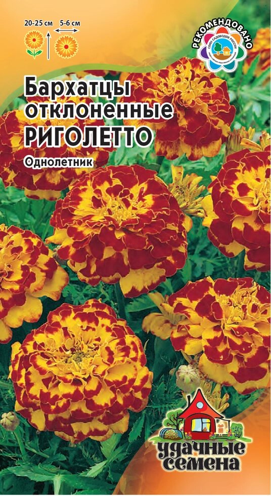 Бархатцы откл.Риголетто 0,3 г (Г) от компании Садовник - все для сада и огорода - фото 1