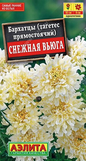 Бархатцы Снежная вьюга 7 шт. от компании Садовник - все для сада и огорода - фото 1