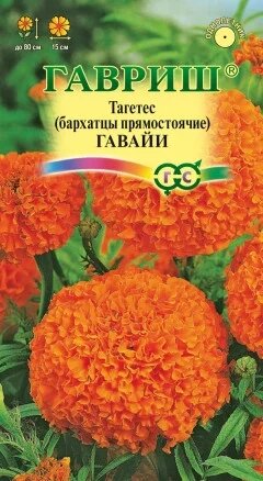 Бархатцы (тагетес) Гавайи, 0,3г, Гавриш от компании Садовник - все для сада и огорода. Семена почтой по всей РБ - фото 1