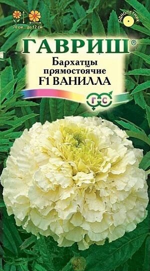 Бархатцы Ванилла  0,05 г (Г) от компании Садовник - все для сада и огорода. Семена почтой по всей РБ - фото 1