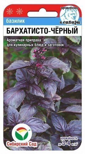 Базилик Бархатисто-черный 0,5гр от компании Садовник - все для сада и огорода - фото 1