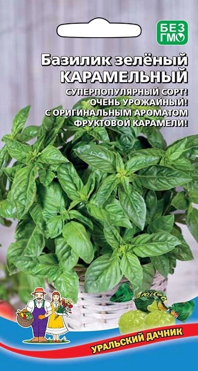 Базилик зелёный КАРАМЕЛЬНЫЙ 0,25гр (УД) от компании Садовник - все для сада и огорода - фото 1