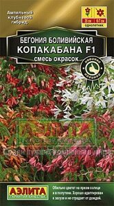 Бегония боливийская Копакабана 5ШТ F1 смесь красок НОВИНКА