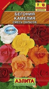 Бегония крупноцветковая Камелия, смесь окрасок 10шт