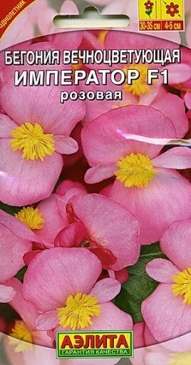Бегония вечноцветущая Император розовая 10ШТ F1 от компании Садовник - все для сада и огорода - фото 1