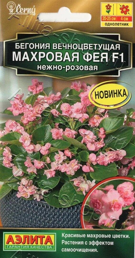 Бегония вечноцветущая махровая Фея F1 нежно-розовая 5шт аэлита от компании Садовник - все для сада и огорода - фото 1