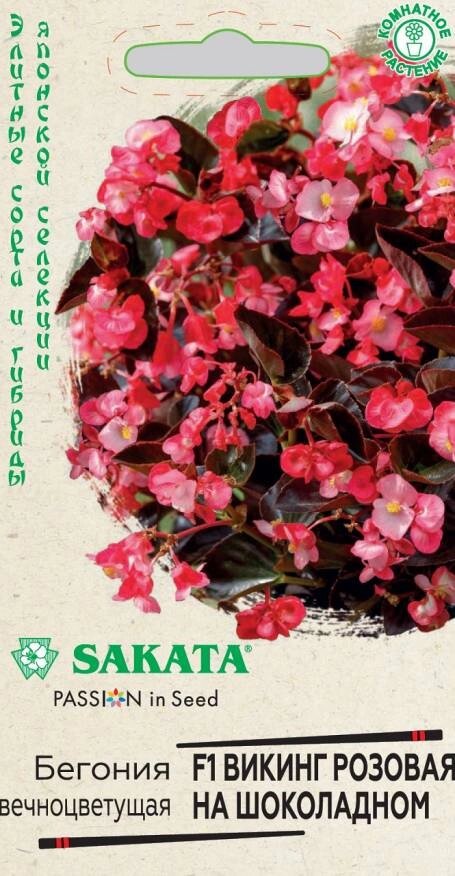 Бегония вечноцветущая Викинг розовая на шоколадном F1, 4шт, Sakata от компании Садовник - все для сада и огорода - фото 1