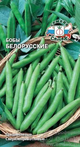 Бобы Белорусские 10 г. от компании Садовник - все для сада и огорода - фото 1