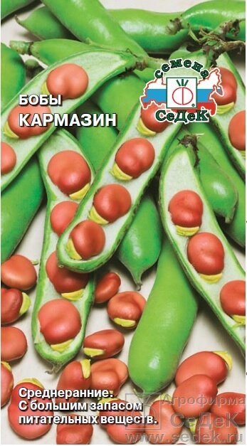 Бобы Кармазин 10гр СДК от компании Садовник - все для сада и огорода - фото 1