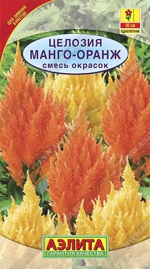 Целозия Манго-оранж. смесь 10 шт. от компании Садовник - все для сада и огорода. Семена почтой по всей РБ - фото 1