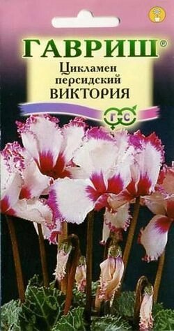 Цикламен Виктория персидский 3 шт (Г) от компании Садовник - все для сада и огорода - фото 1