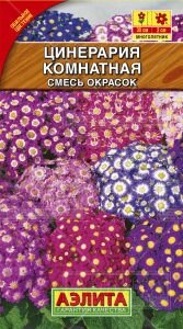 Цинерария комнатная смесь окрасок 30шт от компании Садовник - все для сада и огорода. Семена почтой по всей РБ - фото 1