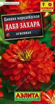 Цинния Дабл Захара огненная 5шт аэлита от компании Садовник - все для сада и огорода - фото 1