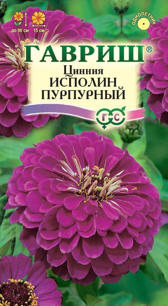 Цинния Исполин пурпурный  0,3 г (Г) от компании Садовник - все для сада и огорода - фото 1