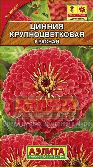 Цинния Крупноцветковая красная 0,3 г от компании Садовник - все для сада и огорода - фото 1