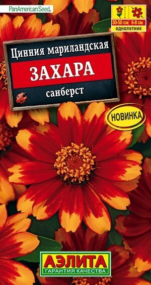 Цинния Захара санберст 5шт. от компании Садовник - все для сада и огорода. Семена почтой по всей РБ - фото 1