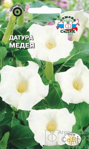 Датура Медея (дурман) белый 0,5 гр СДК ! НОВИНКА! на скидке срок годности до 10.24г от компании Садовник - все для сада и огорода - фото 1