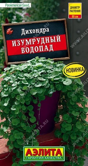 Дихондра Изумрудный водопад 3шт. от компании Садовник - все для сада и огорода. Семена почтой по всей РБ - фото 1