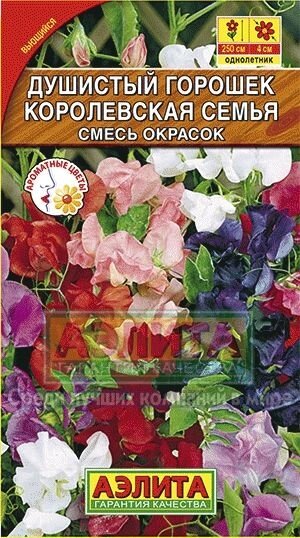 Душистый горошек Королевская семья  0,5г на скидке срок годности до 12,24г от компании Садовник - все для сада и огорода. Семена почтой по всей РБ - фото 1